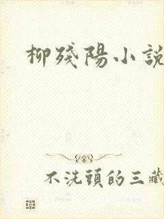 柳残阳小说下载