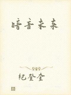 暗音未来