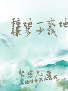 种地一亩地可以赚多少钱