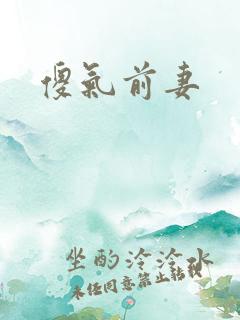 傻气前妻
