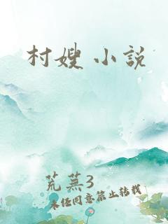 村嫂 小说