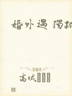 婚外遇 独孤卫