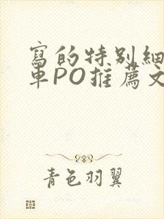 写的特别细的开车PO推荐文