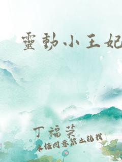 灵动小王妃