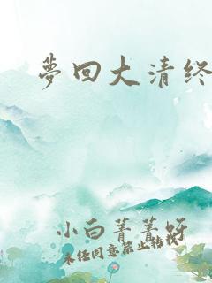 梦回大清终结篇