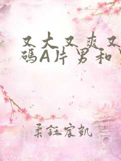 又大又爽又黄无码A片男和男