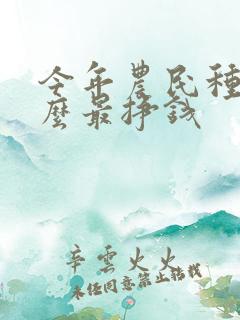 今年农民种植什么最挣钱