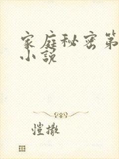 家庭秘密第3集小说