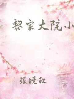 黎家大院小说