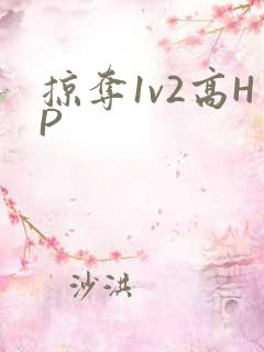 掠夺1v2高HP