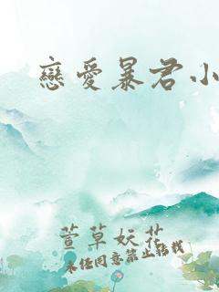 恋爱暴君小说