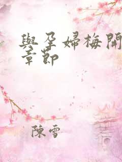 与孕妇梅开三度章节