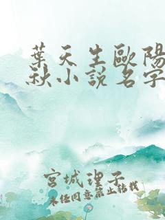 叶天生欧阳欣忆秋小说名字