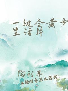 一级全黄少妇色生活片