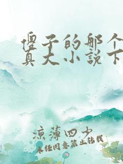 傻子的那个东西真大小说下载