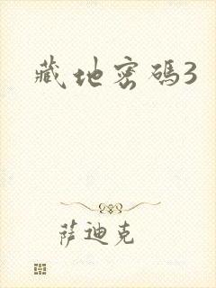 藏地密码3