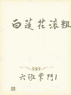 白莲花滚粗