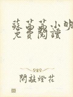苏茜茜小明全文免费阅读