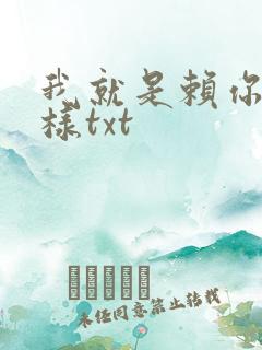 我就是赖你 怎样txt