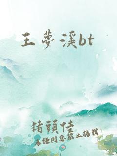 王梦溪bt