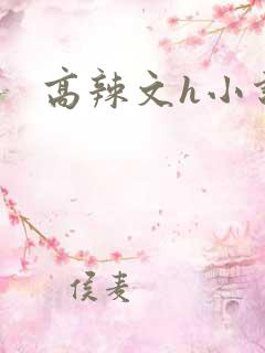 高辣文h小说网