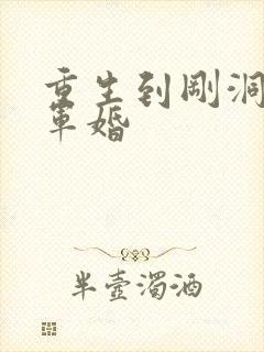重生到刚洞房的军婚