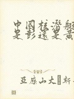 中国核潜艇之父是彭还是黄