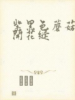 紫黑色蘑菇头顶开花缝