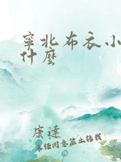 宁北布衣小说叫什么