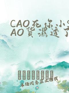 CAO死你小SAO货湿透了学长