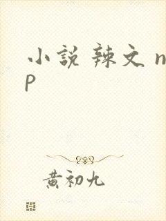 小说 辣文 np