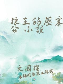 狼王的压寨小相公 小说