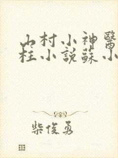 山村小神医王铁柱小说苏小汐