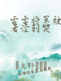 雷电将军被旅行者淦到哭