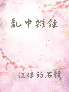 乱中杂录