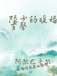 陆少的暖婚新妻有声