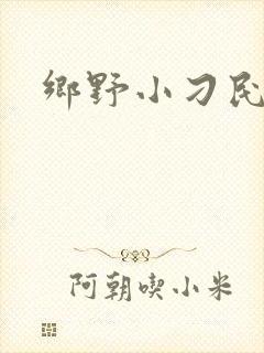 乡野小刁民全文