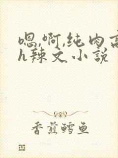 嗯,啊,纯肉高h辣文小说