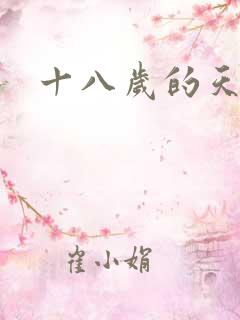 十八岁的天空续