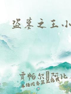 盗墓之王小说
