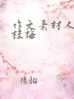 作文素材人物张桂梅