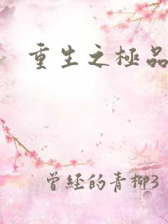 重生之极品男妾