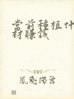 当前种植什么药材赚钱