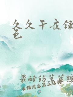 久久午夜录象黄色