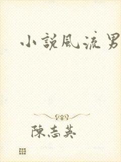 小说风流男护理