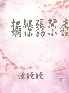 把腿张开老子臊烂你的小说
