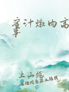 蜜汁炖肉高H故事
