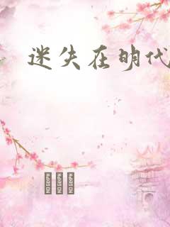 迷失在明代末年