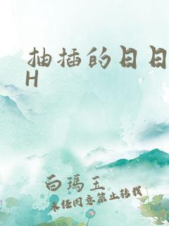 抽插的日日液液H