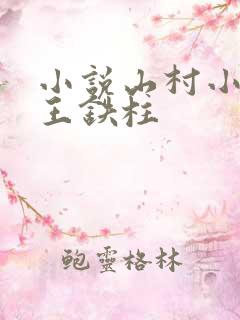 小说山村小神医王铁柱